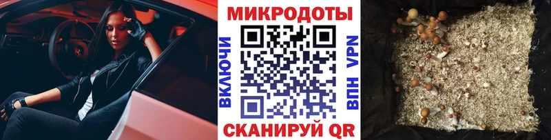 Галлюциногенные грибы Magic Shrooms даркнет сайт Кадников